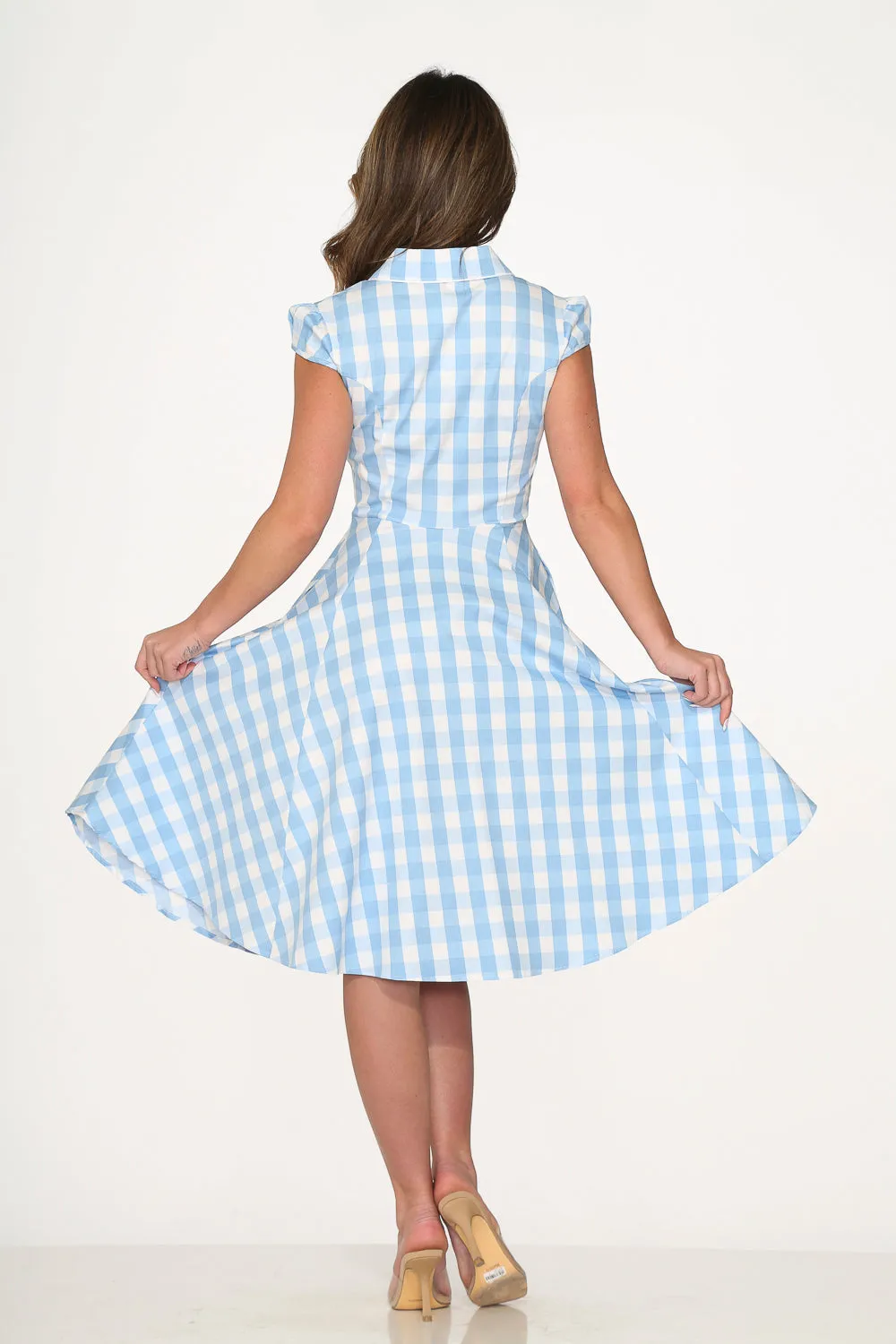 Blue Checkmate Swing Dress