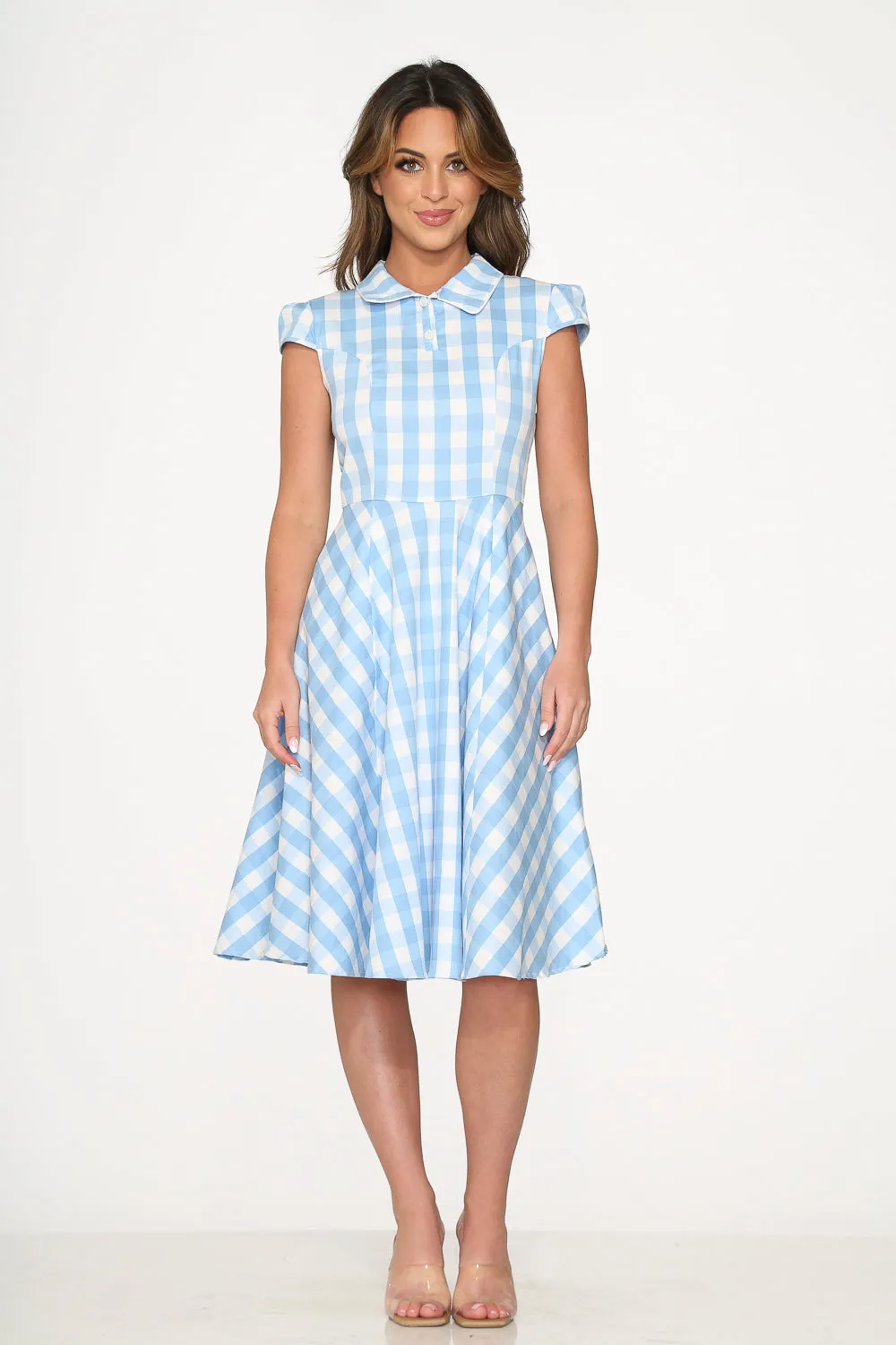 Blue Checkmate Swing Dress