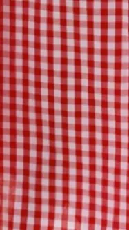 Brydie Halter Maxi Dress - Gingham Red