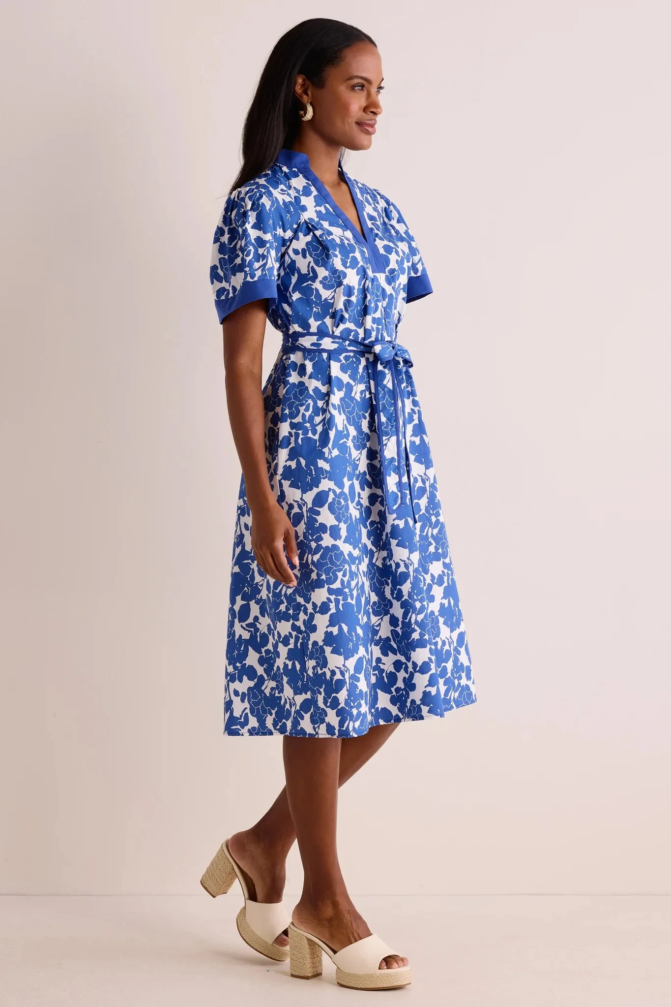 Cayleigh Dress- Blue