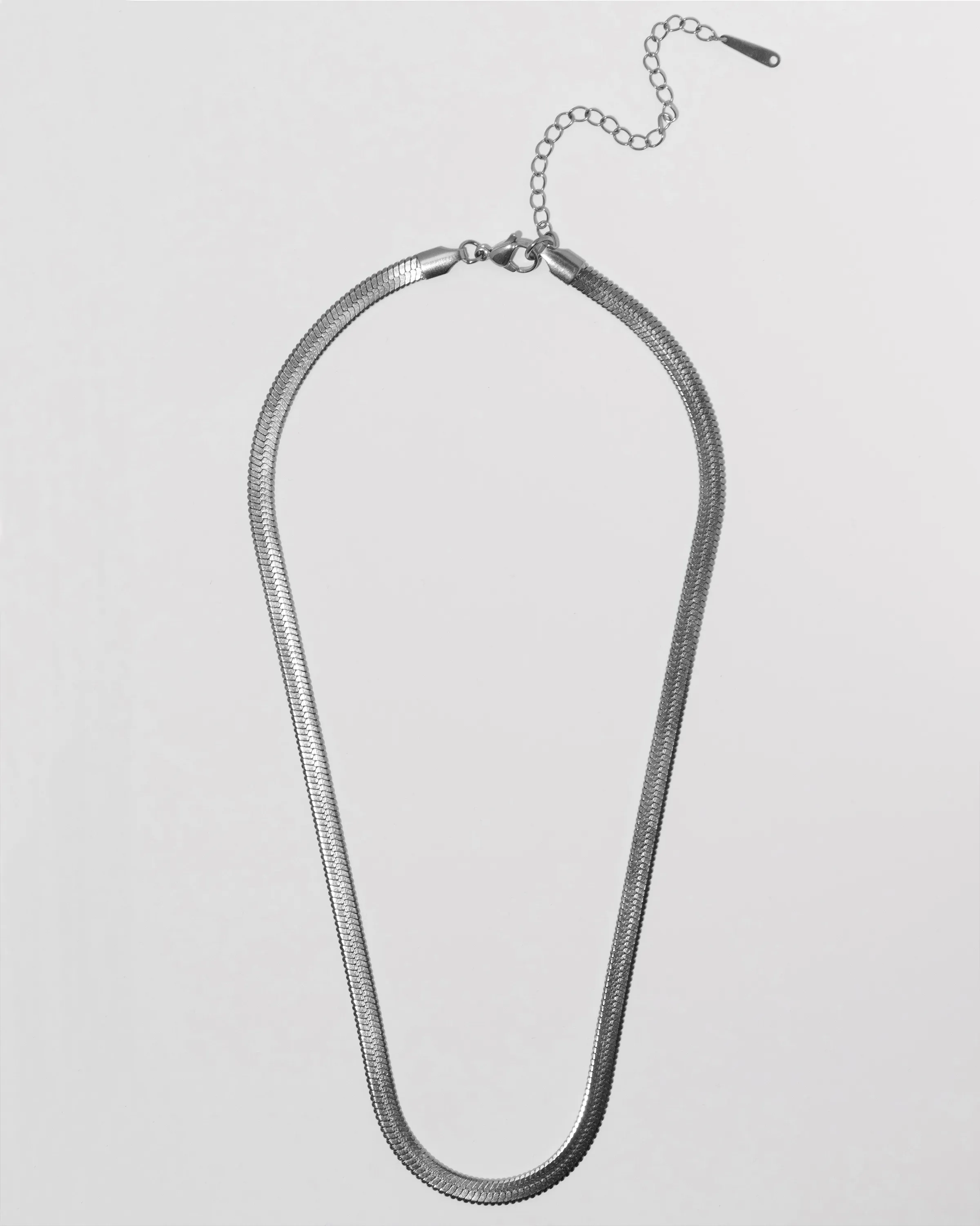 Layering Snake Chain Necklace