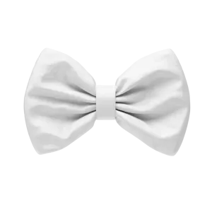 Mini Bow White Satin Toe Clip