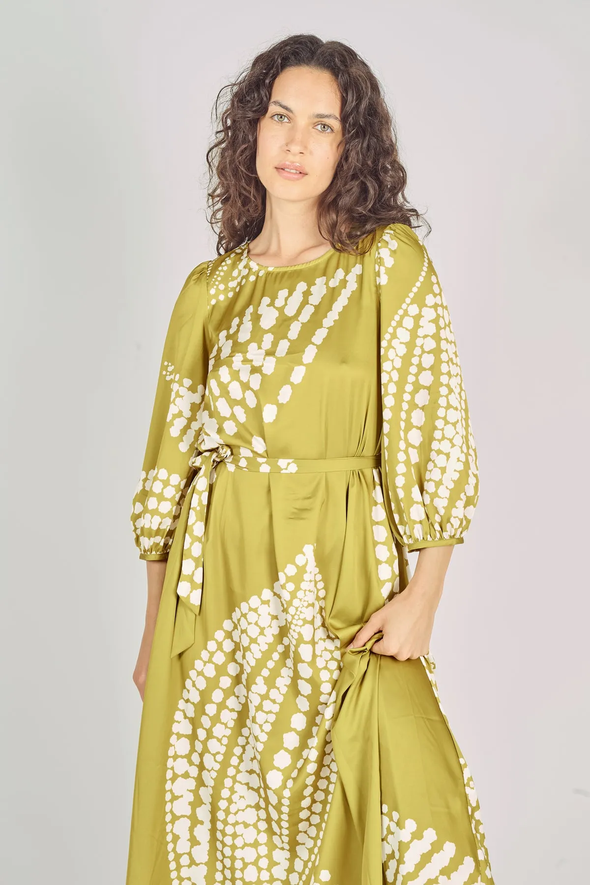 The Odes Revisited Willow Dress