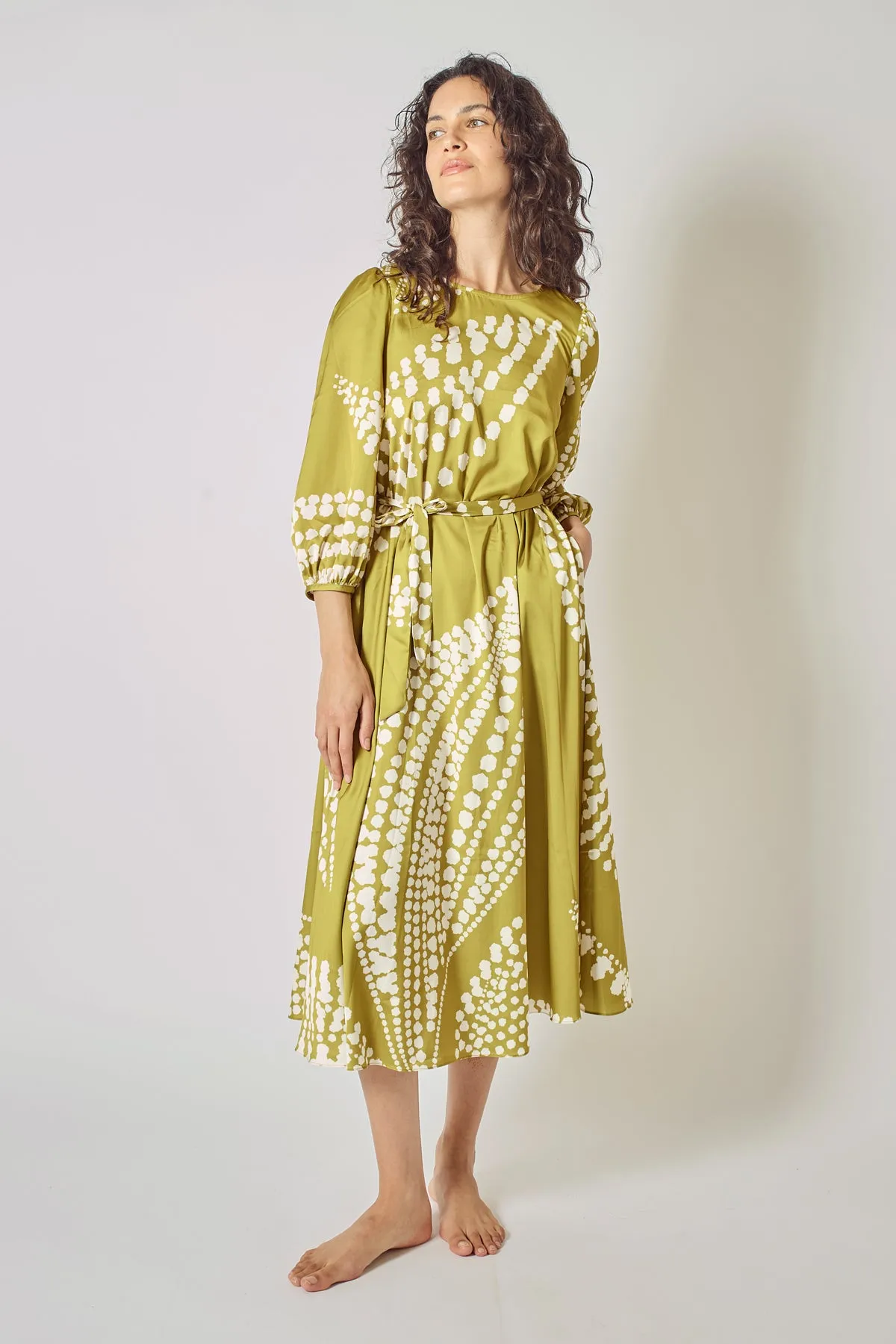The Odes Revisited Willow Dress