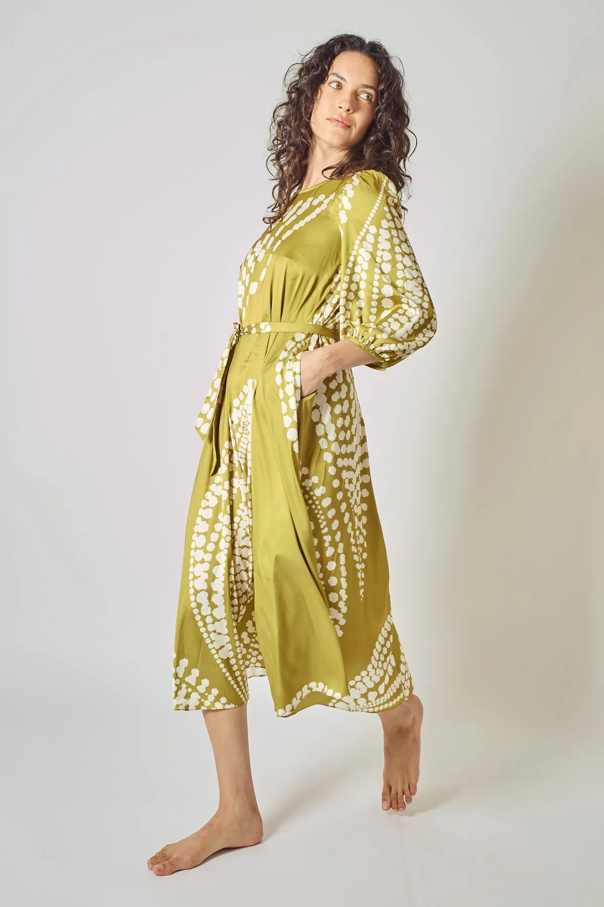 The Odes Revisited Willow Dress