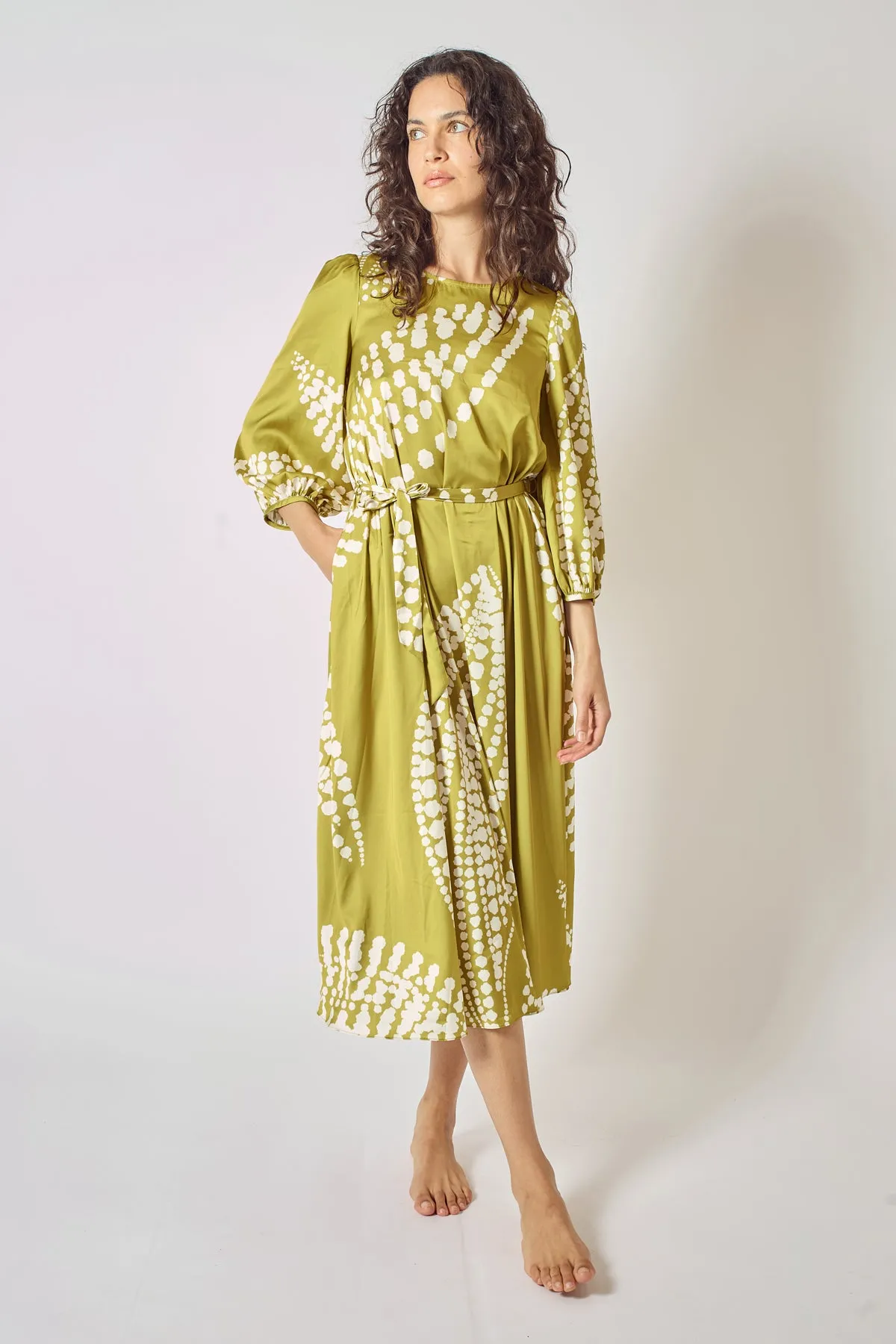 The Odes Revisited Willow Dress